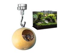 Jumping Spider House | Jumping Spider Enclosure | Spider Hiding Nest | Natural Gourd Spider House | Jumping Spider Habitat Spacious and Secure Spider Nest For Small Reptiles