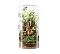 Jumping Spider, Reptile Acrylic Tank, Clear Visibility Secure Lock Lightweight Design Easy Access, Waterproof Reptile Enclosure for Tarantula, Frogs, Praying Mantis, Snails