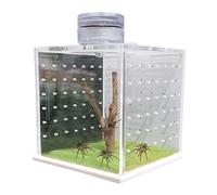 Jumping Spider Terrarium, Clear Frog Tank Cage, Small Reptile Enclosure, Lightweight Breeding Box, Reptile Tank with Light and Humidifier for Spiders and Frogs