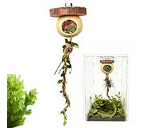 Jumping Spider Toy, Climbing Reptil Decor, Praying Mantis with Realistic Movement, Cage Decor for closure Setup, Reptile Cage Decoration, Spider Toy for Terrarium Display