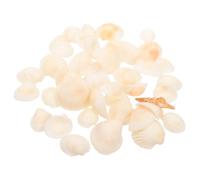 JUMPLAWN 1 Caja Kit de Conchas Marinas Naturales Blancas para Manualidades DIY Pequeñas Decorativas para Hogar Adornos Versátiles para Acuarios Arreglos y Decoración Náutica