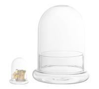 JUMPLAWN Botella de Vidrio para Micro Paisaje, Mini Campana de terrario con Base de Mesa, decoración de Oficina para Crear paisajes en Miniatura