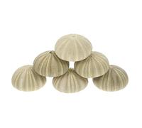JUMPLAWN Macetas Creativas de Erizo de Mar Soporte Decorativo de Concha Natural para Plantas de Aire Paquete de 6 Piezas para Decoración de Hogar y Escritorio