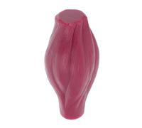 JUMPLAWN Modelo Muscular de Enseñanza Anatómico de 1 Libra sin Base Réplica Detallada del Cuerpo Humano en Plástico Adecuado para Educación Laboratorio y Formación Científica