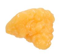 JUMPLAWN Modelo Realista de Anatomía de Grasa Corporal de Tpe Portátil para Demostración Científica y Enseñanza Médica Peso de 1 Lb para Nutricionistas