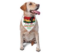 Juneteenth Free-Ish Since 1865 Black History Dog Bandanas Bufanda para Mascotas Triángulo Babero Gatos Pañuelo Ajustable Accesorios para Cachorros pequeños, medianos y Grandes