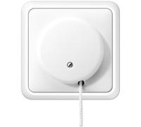 Jung 5506ZUWW - Interruptor/conmutador con Tirador Blanco Alpino