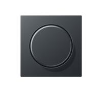 Jung A1540BFANM - Placa central con boton mando antracita mate