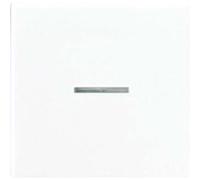 Jung a500 - Tecla a500 para Mecanismo Simple con Visor Cava