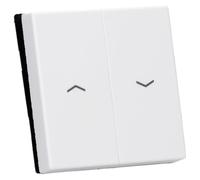 JUNG A595PWW Tecla con Símbolos, Duroplástico (Resistente Al Rayado) Brillante, Blanco Alpino