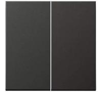 JUNG AL2995AN Tecla Doble, Acabados Metálicos, Antracita (Aluminio Lacado)