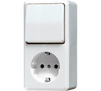 JUNG AP600 Interruptor Combinado Toma RA Alpin Blanco - 676AWW
