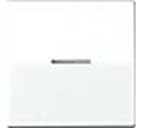 Jung as 591 ko5bfs ww wippe, schraubbefestigung, linse, zentralplatte,