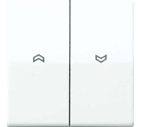 Jung AS591-5PBFWW - Interruptor