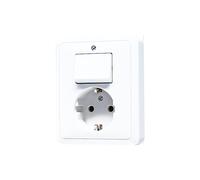 JUNG CD500 Interruptor Toma Combinado Con Contacto A Tierra - 5576EUWW