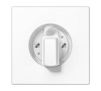 JUNG LS1941WW Placa Central con Botón de Mando, Duroplástico (Resistente Al Rayado) Brillante, Blanco Alpino