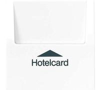 Jung ls990 - Receptor tarjeta-llave gris claro