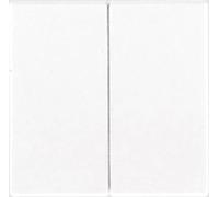 JUNG LS995 Tecla Doble, Duroplástico (Resistente Al Rayado) Brillante, Blanco Marfil