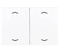 JUNG LS995MPWW Tecla con Símbolos, Duroplástico (Resistente Al Rayado) Brillante, Blanco Alpino