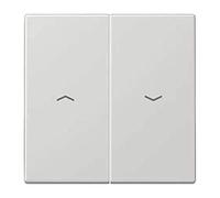 JUNG LS995PLG Tecla con Símbolos, Duroplástico (Resistente Al Rayado) Brillante, Gris Claro