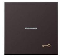 Jung - Tecla con visor-simbolo puerta dark