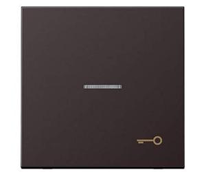 Jung - Tecla con visor-simbolo puerta dark