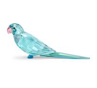 Jungle Beats Periquito azul Paco OS