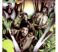 Jungle Brothers - Straight out the jungle