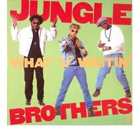 Jungle Brothers - What u waitin' 4? (Jungle Ferver Mix, 1990) [Vinyl Single]