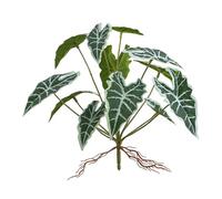 JunglePlant - Plantas colgantes artificiales para decoración de hábitat, rama trepadora, decoración de acuario, rama trepadora