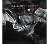 Jungsu Choi Tiny Orkester Tschuss Jazz Era (CD) Album (Importación USA)