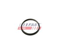 Junta Bomba De Vacío Fast FT49853 para Ford Fiat Citroën/peugeot