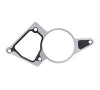 Junta, bomba de vacío HANS PRIES 305 116