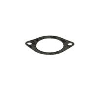 Junta, carcasa del colector de admisión REINZ 71-38304-00