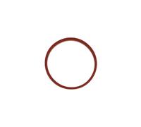 Junta, carcasa del colector de admisión REINZ 71-77546-00