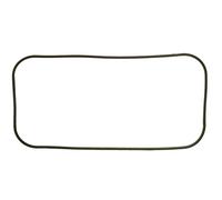 JUNTA, CARTER CIGUEÑAL