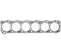 Junta, culata ELRING 538.980 para IVECO EUROSTAR 12.882 2001-2002
