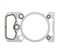 Junta, culata ELRING 569.320 para RENAULT TRUCKS C 8.82 1983-1990