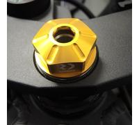Junta de Dirección RDMOTO Dorado Dorado