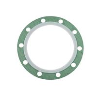 Junta De Flange Compatible Con Stiebel Eltron 067348 204Mmø Calentador De Agua