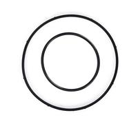 Junta de Goma para Bomba de Vacío, Kit de Sellado para E60 E63 E53 E70 N62 N73 V8 4.4L 4.8L - Perfecta Reemplazo para evitar fugas, resistente al calor y aceite, para coches y