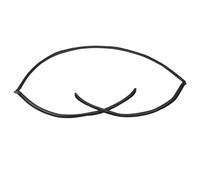 Junta De Goma Para Moldura De Parabrisas Trasero Superior Del Maletero 51317027916 Para E60 Serie 5 525i 530i 528i 2004-2010 QAQMHVCVB