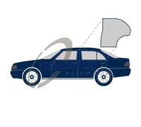 Junta de la puerta Atrás izquierda 02.53.051 TRUCKTEC AUTOMOTIVE