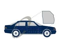 Junta de la puerta Delante, derecha 02.53.038 TRUCKTEC AUTOMOTIVE