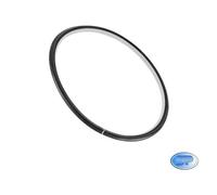 Junta De Puerta Secadora Electrolux Original 1251085021