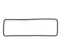 Junta de tapa de válvula CURTY REINZ 71-20458-00