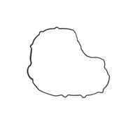 Junta de tapa de válvula ELRING 341.010