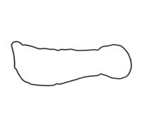 Junta de tapa de válvula ELRING 440.030