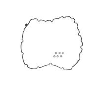 Junta de tapa de válvula REINZ 71-53199-00