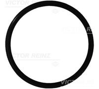 Junta de válvula EGR REINZ 40-76165-00